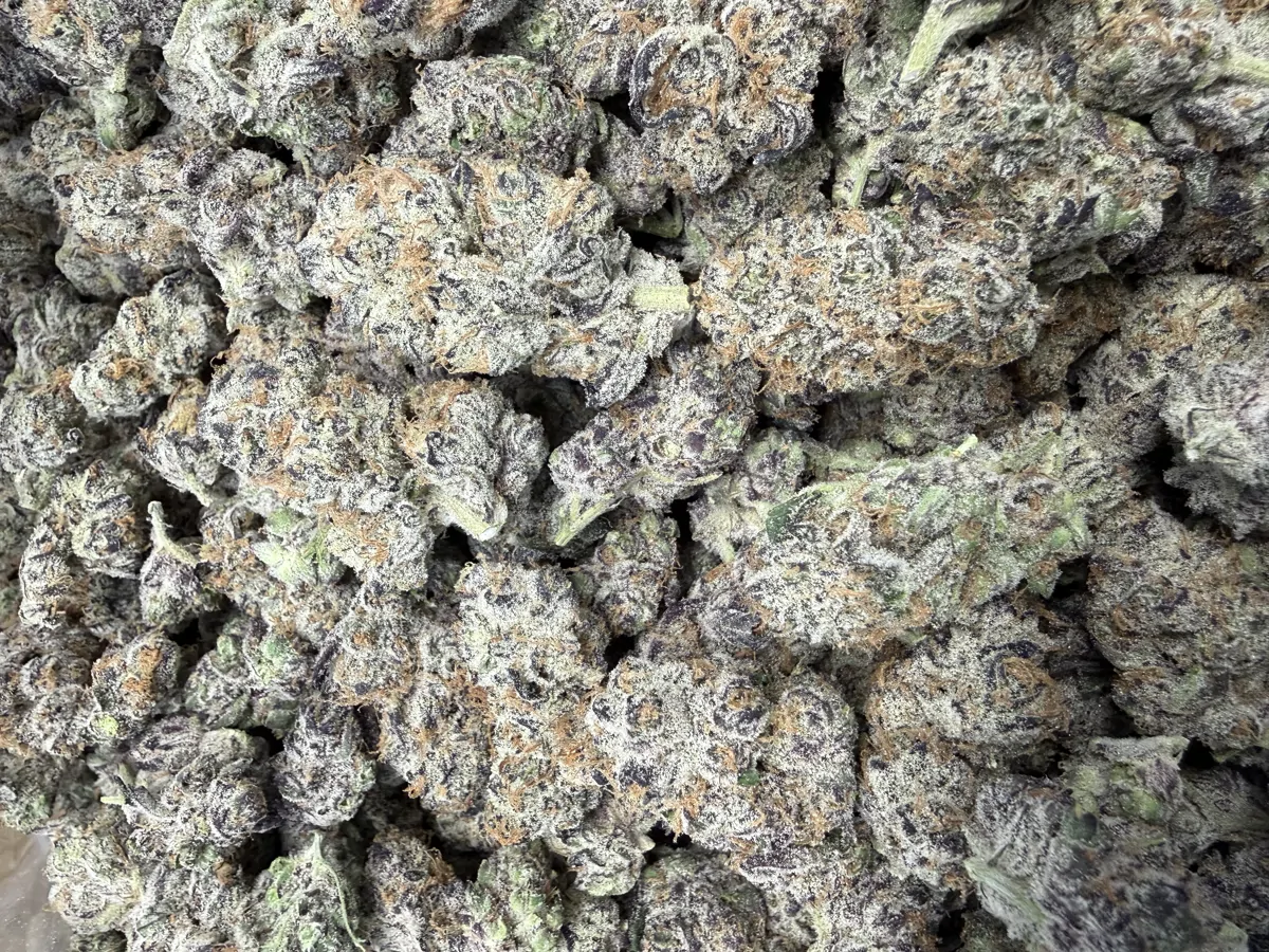 Purple Sticky Punch Flower